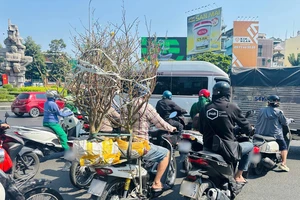 Coi chừng bị phạt vì chở cây cảnh cồng kềnh ngày Tết