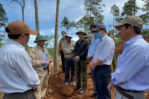 Chủ tịch UBND tỉnh Lâm Đồng kiểm tra công tác bảo vệ rừng