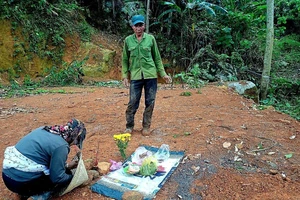 Xác minh thông tin hổ xuất hiện ở huyện Bảo Lâm