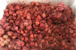 Lâm Đồng: Tạm giữ 310kg dâu tây không rõ nguồn gốc