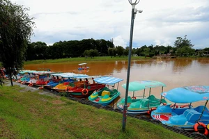 “Dẹp” hoạt động đạp vịt trên hồ Xuân Hương