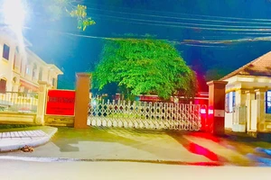 Lâm Đồng: Đề nghị kỷ luật một loạt lãnh đạo huyện