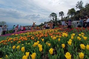 Rực rỡ sắc màu du lịch Tây Ninh 