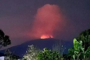 Cháy lớn trên núi Đại Bình, tỉnh Lâm Đồng