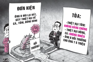 Bông súng, bông điên điển, cá đồng đi vào tố tụng 