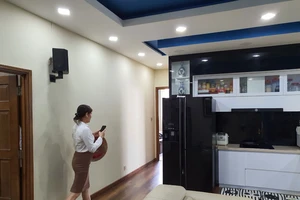 Thí điểm thu thuế cho thuê căn hộ nhiều chung cư tại quận 11