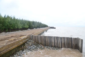 Lấn cấn chuyện phải nộp tiền khi chưa được sử dụng mặt biển