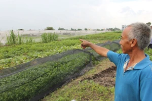 Khi cá nhân được nhận thế chấp quyền sử dụng đất