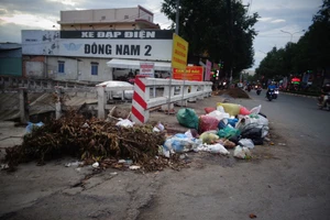  Xả rác trên cầu gây ô nhiễm môi trường