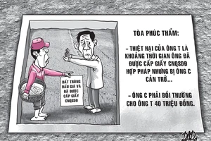 Kiện người cản trở canh tác lúa trên đất trúng đấu giá