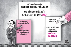 Dự thảo án lệ về hiệu lực hợp đồng tặng cho quyền sử dụng đất