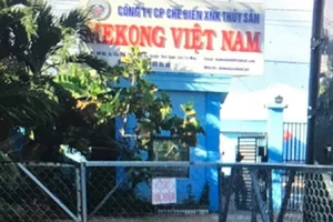 Cà Mau: Đỏ mắt tìm tài sản thi hành án