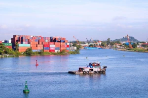 Cân nhắc chuyện làm cảng container Cần Giờ