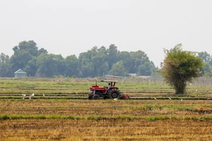 Bác đề xuất phân lô, bán nền 5 khu đất để làm nhà ở công nhân