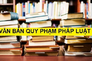 Đề nghị kiểm điểm, khắc phục các vấn đề về xây dựng văn bản pháp luật
