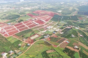 Loạn phân lô ở Lâm Đồng: Nhiều cơ quan đồng loạt vào cuộc 