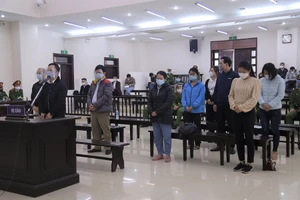 Khó chấp nhận vụ 'sợ bị đuổi việc nên ký bằng giả theo chỉ đạo'