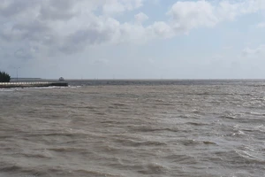 Phải nộp tiền khi chưa được sử dụng mặt biển: 5 năm vẫn rối