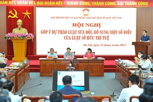 Xâm phạm quyền sở hữu trí tuệ: Phải xử nghiêm