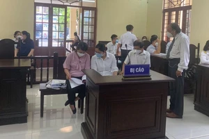 Vụ biến đất mặt tiền thành đất hẻm để trốn thuế: Có dấu hiệu bỏ lọt tội phạm