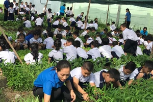 Phải sớm có giáo viên chuyên trách tâm lý học đường 