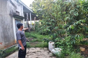 Chi cục Thuế thua kiện người dân