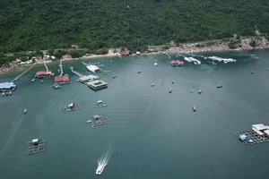 Các biện pháp để biến tiềm năng thành thế mạnh về biển