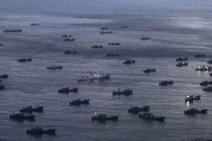 Mỹ chuẩn bị lập liên minh chống đánh bắt cá trái phép 