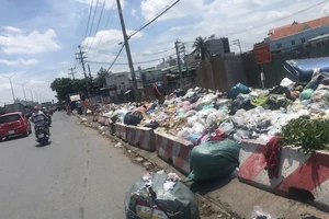 TP.HCM: Xóa bãi rác tồn tại hơn 30 năm 