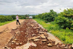 Dân đầu cơ đất tự ý làm đường nhưng phường không biết 