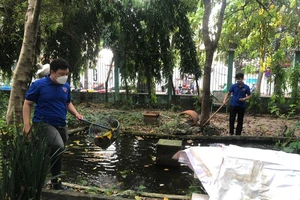 TP.HCM: Tăng cường vai trò đoàn thể trong bảo vệ môi trường