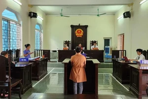 Vụ vợ cắt 'của quý' chồng: Tòa, viện trái quan điểm về tội danh