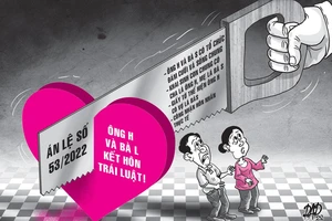 Án lệ về việc hủy kết hôn trái pháp luật