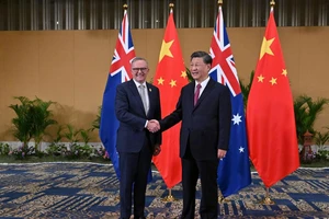 Ông Tập Cận Bình gặp các lãnh đạo Hàn Quốc, Úc, Pháp