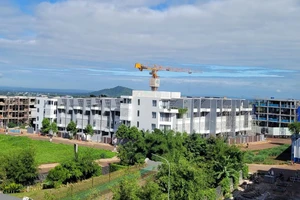 Làm rõ vụ giao sai hàng chục hecta đất ở Đắk Lắk