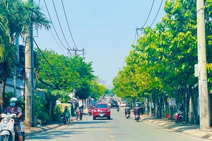 Lý do TP.HCM cần thí điểm đổi đất nông nghiệp lấy đất ở 