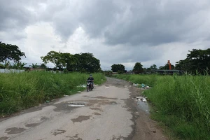 Số phận 87 dự án hết hiệu lực ở Bình Chánh, TP.HCM