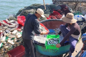 Quảng Trị hành động quyết liệt để chống khai thác IUU