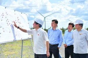 Gia Lai: Nhiều dự án điện gió chưa thể vận hành