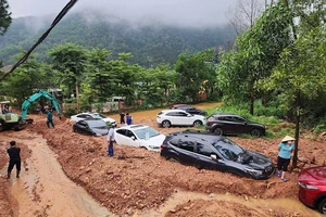 Sạt lở khắp nơi: Lời cảnh báo của thiên nhiên! 