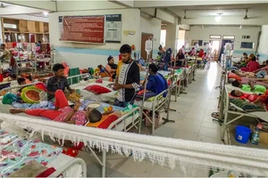 Sốt xuất huyết lan mạnh ở nhiều châu lục, hàng ngàn người chết