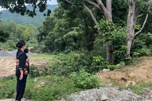 Thắng kiện UBND, người dân vẫn không được cấp sổ hồng