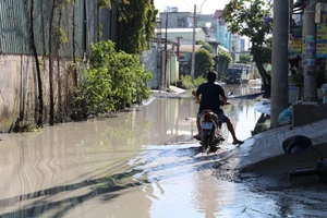 TP.HCM: Nhiều tuyến đường được Nhà nước và người dân cùng làm