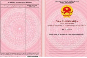 Cháu 12 tuổi có được đứng tên tài sản do ông bà tặng?