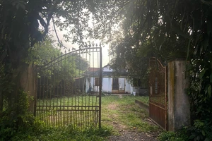 Không thể nhận di sản vì tòa và thi hành án trái quan điểm