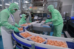 Xuất khẩu phục hồi nhưng hàng Việt đối diện thách thức mới