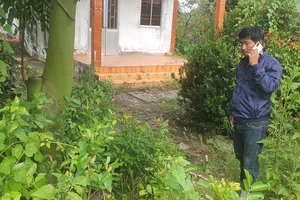 Chủ đất cũ tự ý đào lấy 3 cây mai vì 'bán đất, không bán mai'