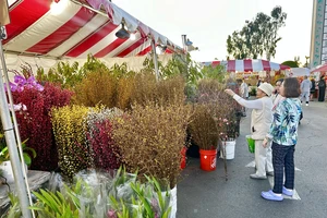 Kiều bào nô nức đón Tết truyền thống bên kia đại dương 