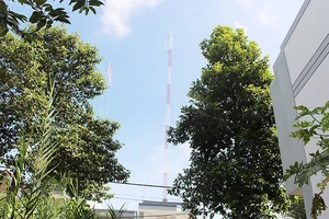 Cột ăng-ten trạm thu phát sóng chưa được cấp phép xây dựng trong khu tái định cư Mỹ Thạnh An.