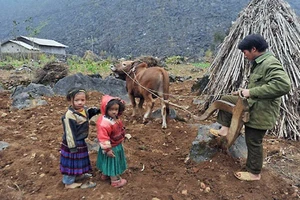 Sai phạm hàng tỉ đồng, chỉ xin rút kinh nghiệm